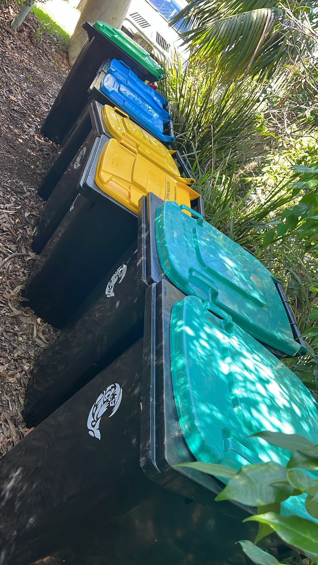 Strata bin-bay pressure clean