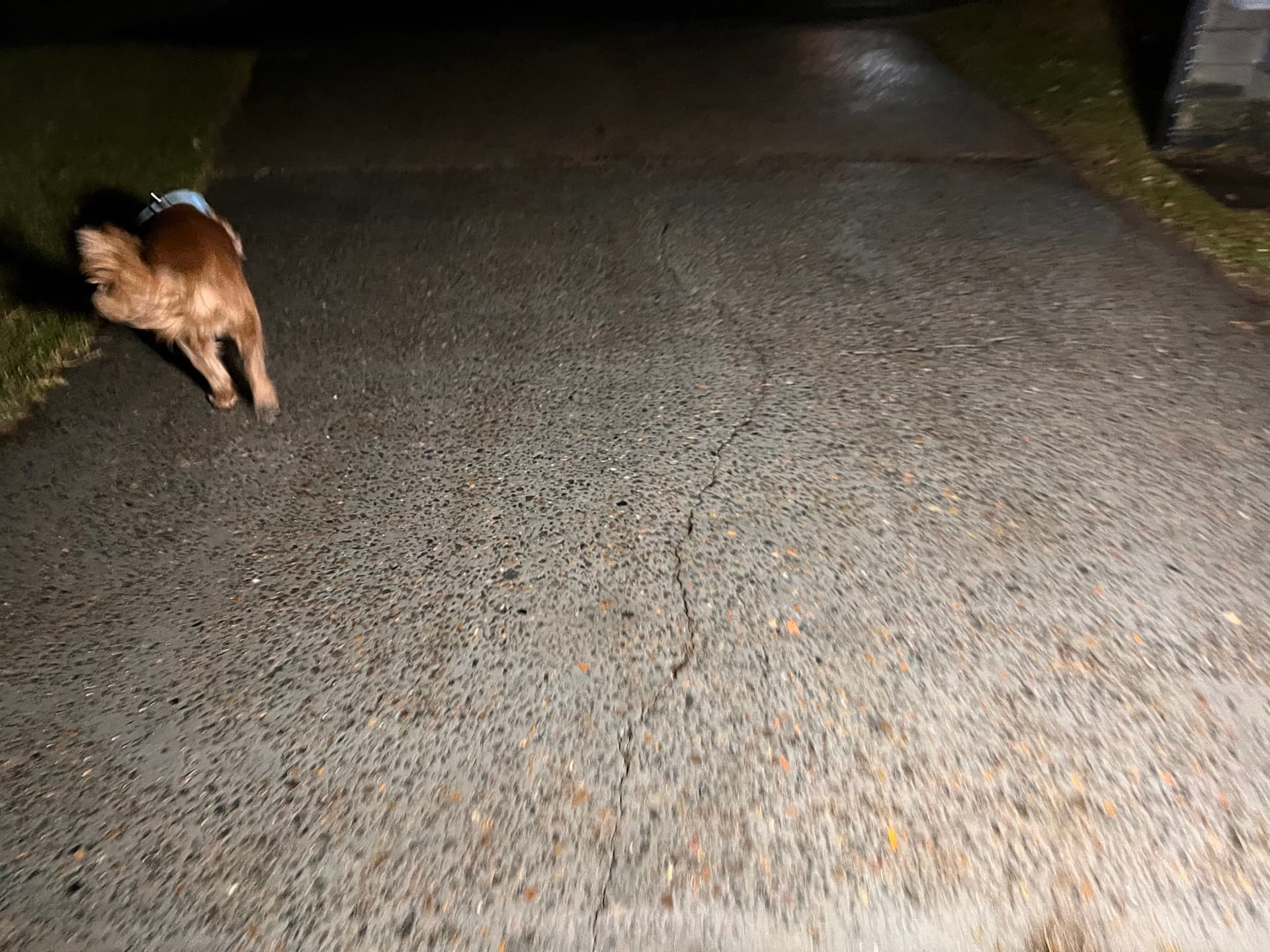 Clean concrete driveway at night