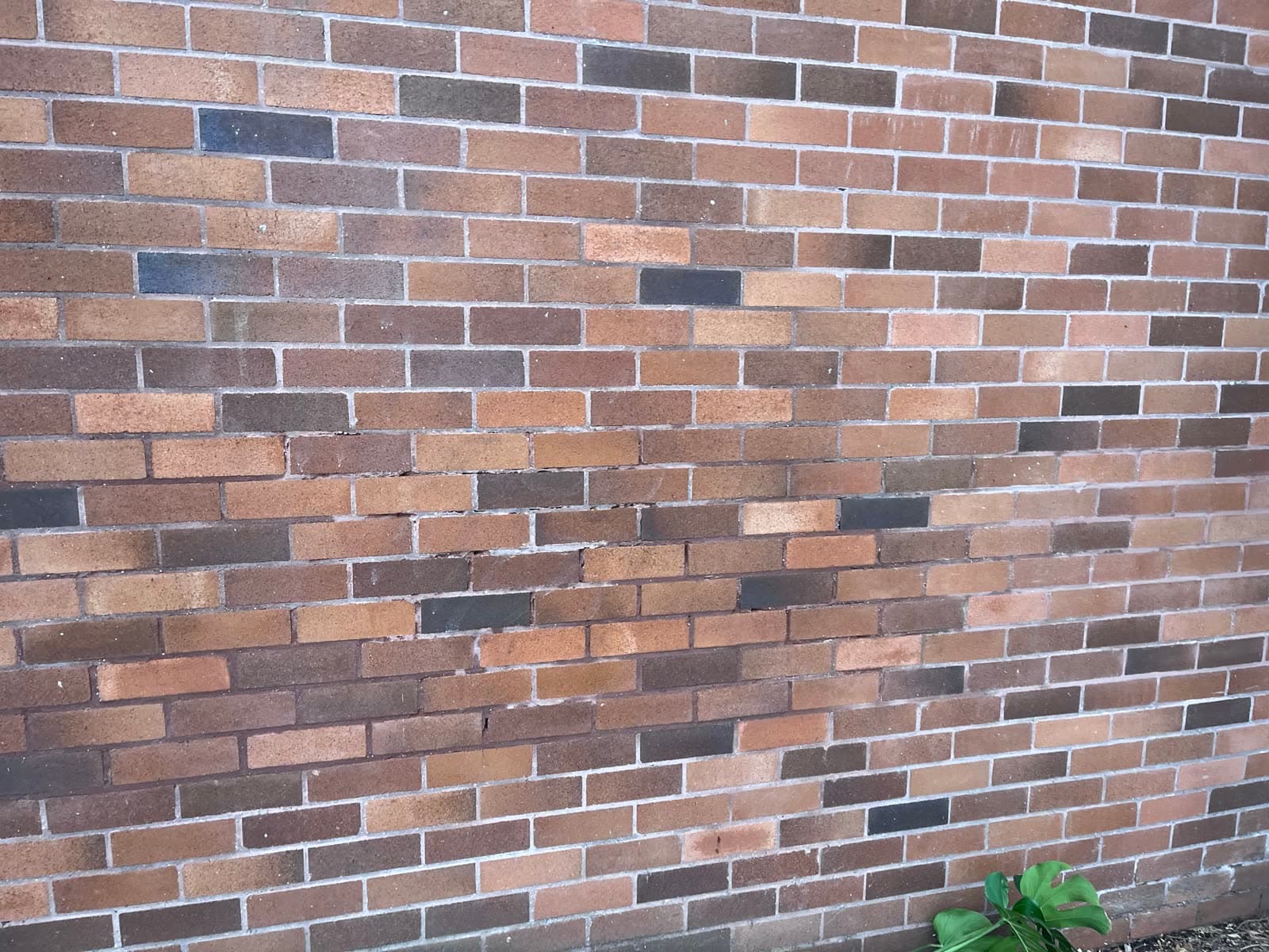 Brick wall cleared after BiBiA graffiti removal — Northern Beaches
