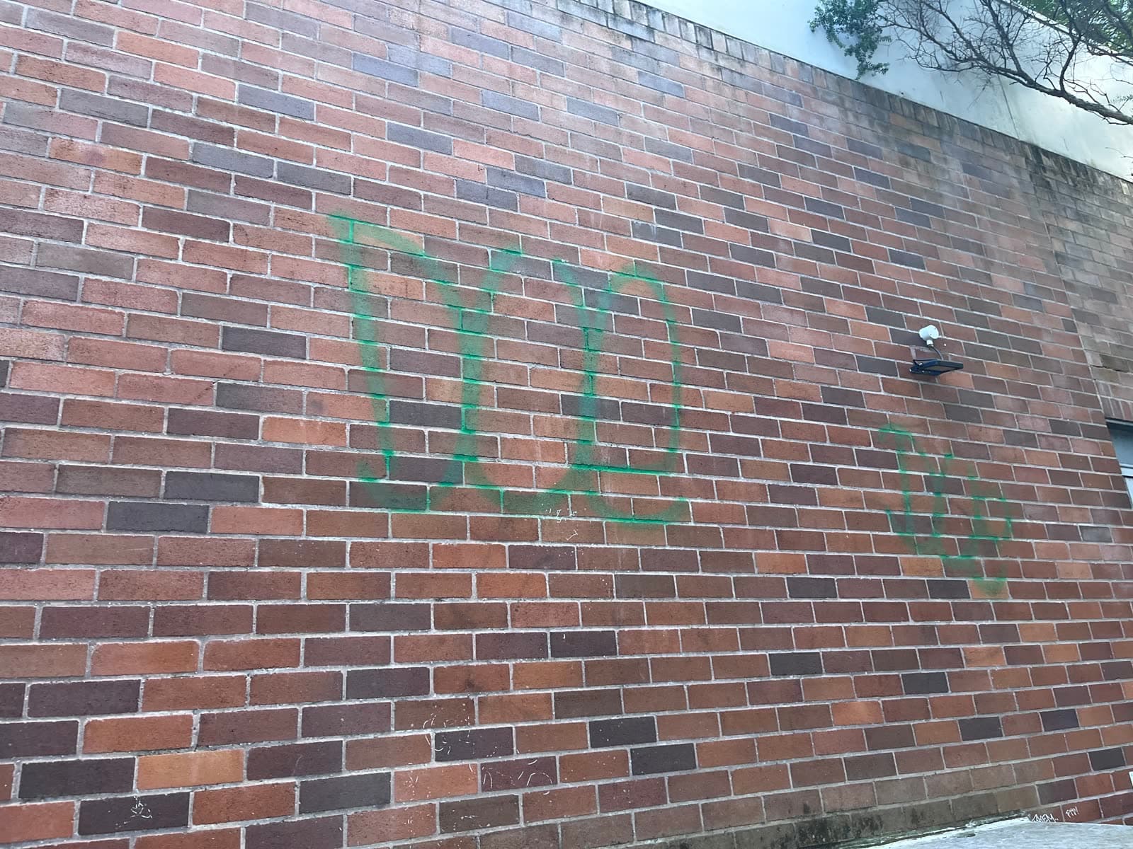 Green spray-paint tags on brick wall before Washlord graffiti removal — Northern Beaches