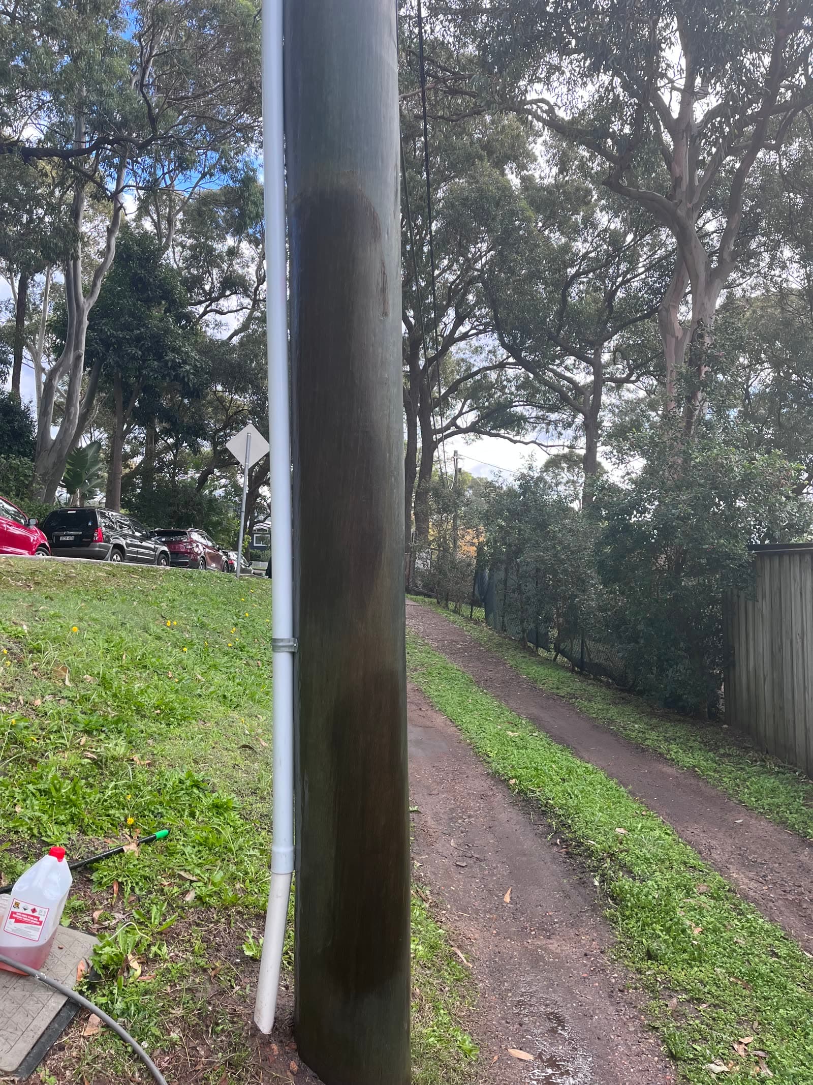 Outdoor timber pole cleared after graffiti removal — Northern Beaches