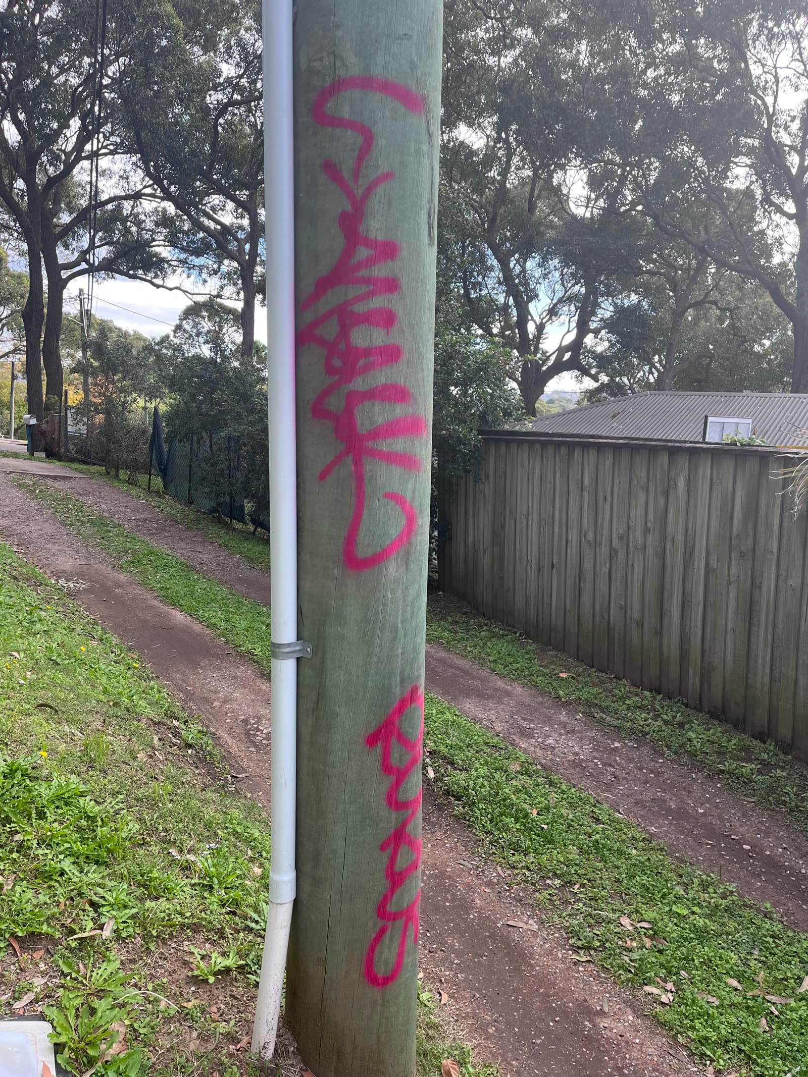 Pink graffiti tags on outdoor timber pole before removal — Northern Beaches