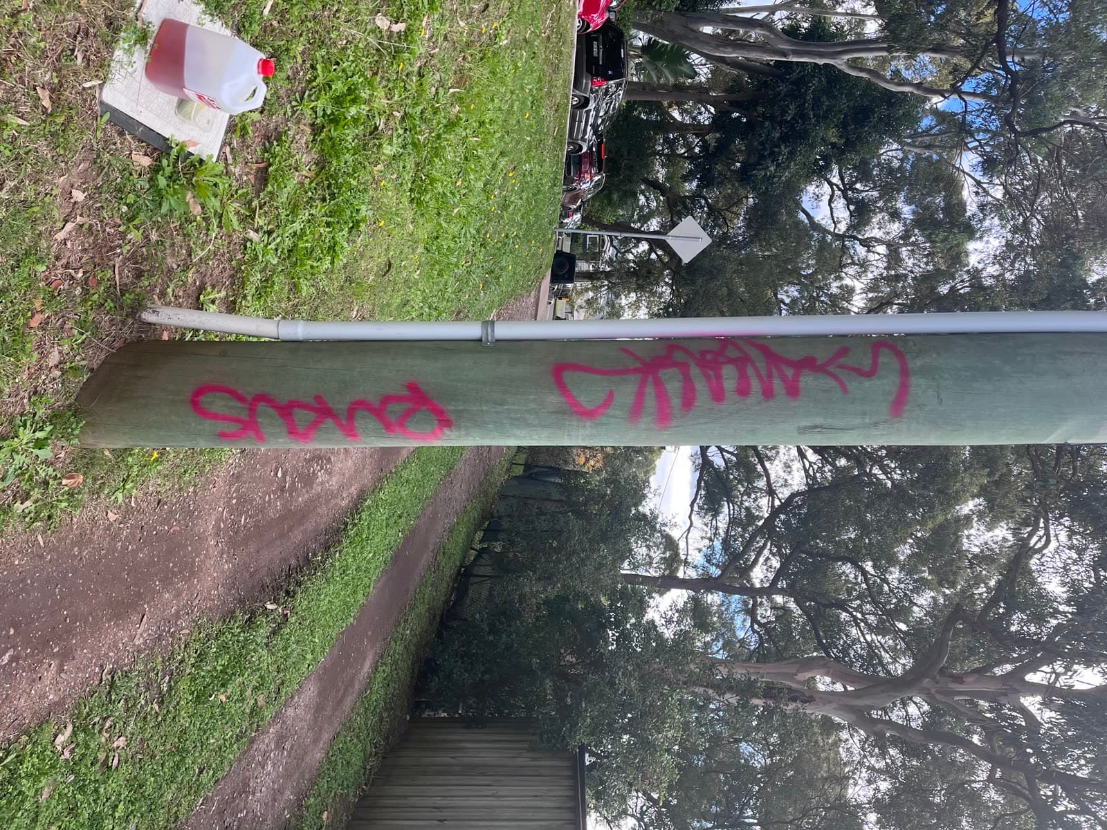 Pink graffiti tags on timber beam before removal