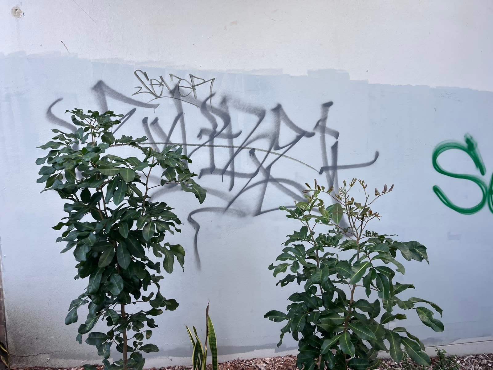 Multiple graffiti tags on render wall before removal — Northern Beaches Sydney