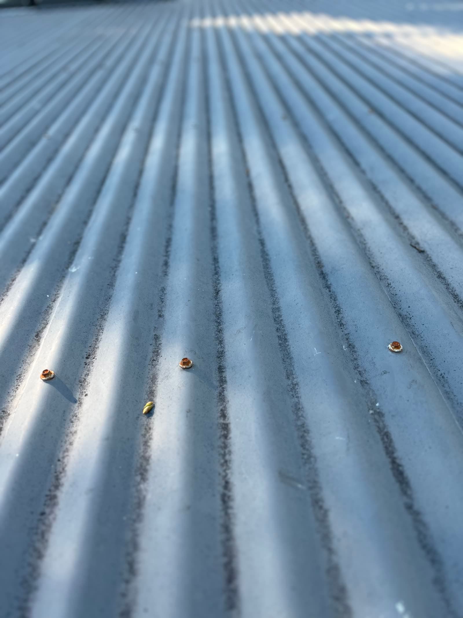 Corrugated metal roof close-up gleaming after Washlord roof clean