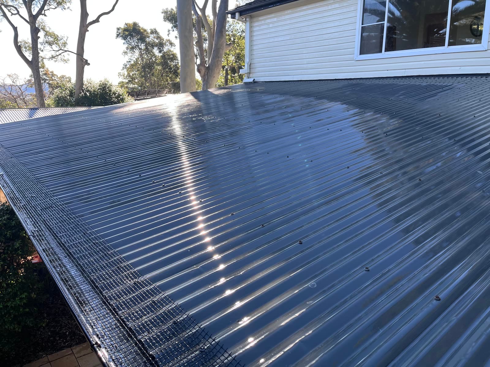 Wide shot of a freshly cleaned corrugated metal roof reflecting sunlight — Northern Beaches