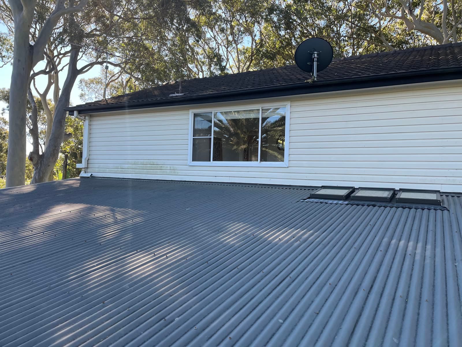 Dark, moss-stained tiled roof before Washlord roof cleaning — Northern Beaches