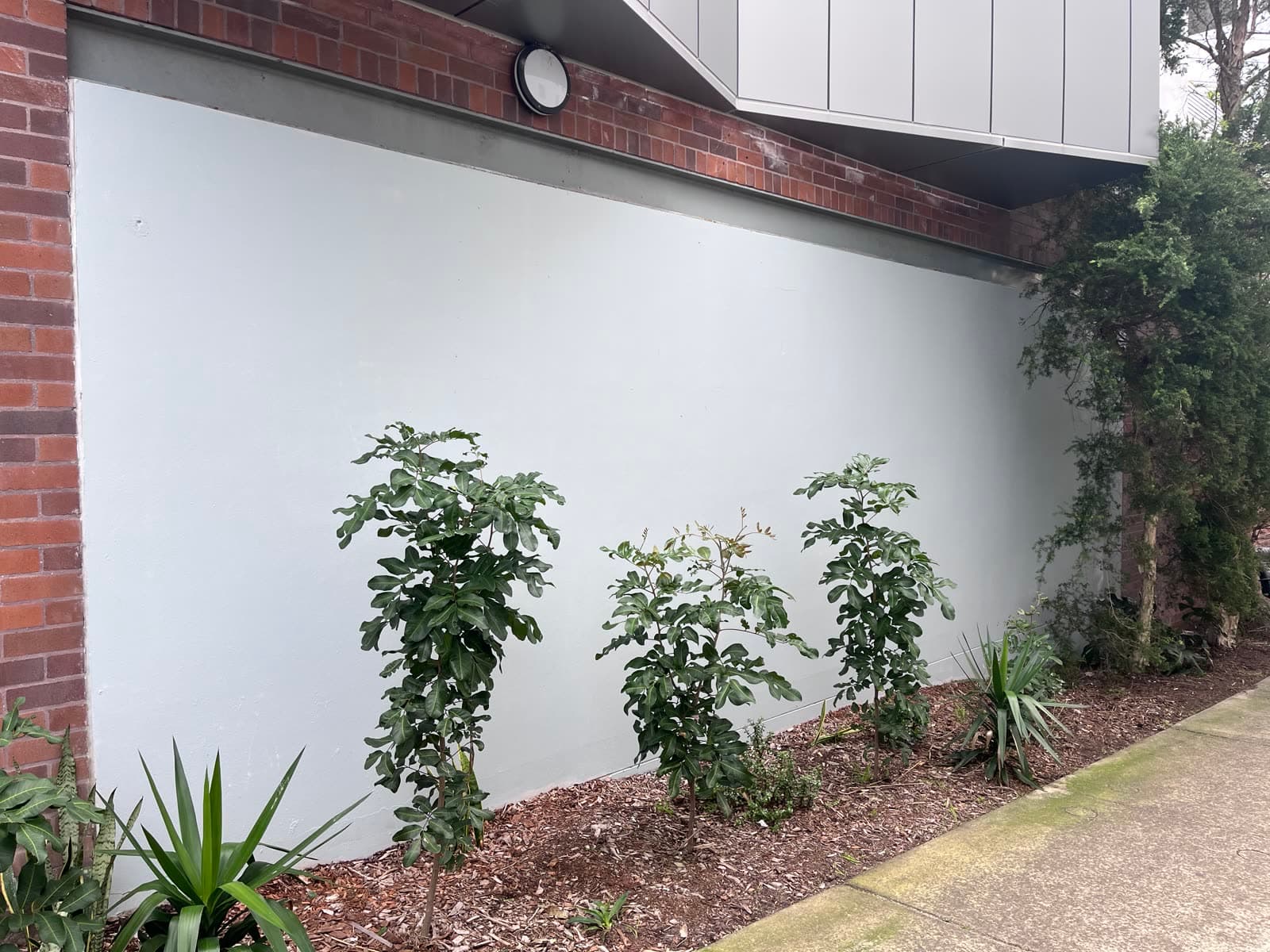 Same render wall fully cleared after Washlord graffiti removal — Northern Beaches